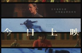 《跌落的裁决》发布上映宣传海报 主演用中文向中国观众致意缩略图