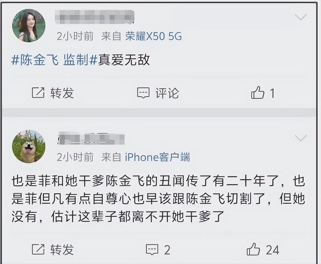 陈金飞变身刘亦菲新戏监制，这父女情深还是另有隐情？插图