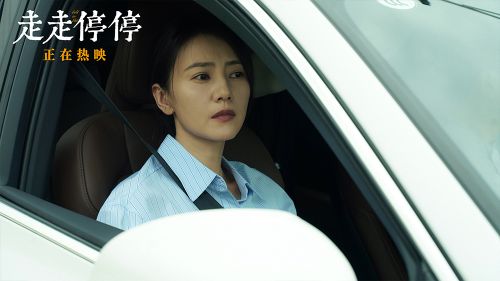 《走走停停》百度云网盘[HD1080p]免费资源下载分享插图2