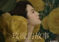 《玫瑰的故事》百度云网盘完整下载【HD】高清阿里云盘免费资源缩略图