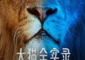 《大猫全实录》百度网盘在线免费观看〔蓝光1080P泄露版〕缩略图