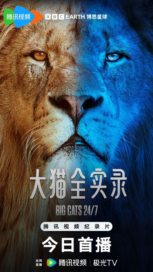 《大猫全实录》百度网盘在线免费观看〔蓝光1080P泄露版〕插图