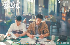 《雪迷宫》全集百度云网盘资源下载高清版本（HD1080P/泄露-MKV独家上线）缩略图