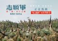 《志愿军：生死之战》百度云在线免费观看（hd高清版）【1280P】资源下载缩略图