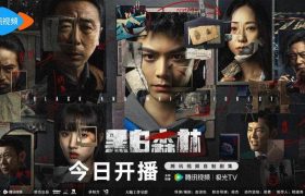 《黑白森林》国语在线免费观看(hd高清版)【1080P】资源下载缩略图