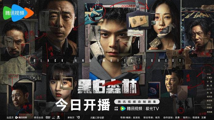 《黑白森林》全集百度云网盘资源下载迅雷下载[mp4]4K蓝光高清[HD1080P中字]插图