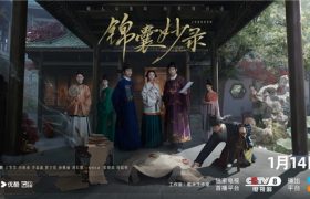 《锦囊妙录》全集在线观看免费完整高清版百度云资源下载(手机版)缩略图