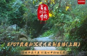 《书画里的中国》百度云网盘[1080pHD高清阿里云盘资源下载]在线观看缩略图