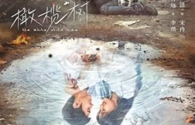 《白色橄榄树》百度云网盘【BD720P/泄露-MP4】阿里云盘迅雷BT资源下载缩略图